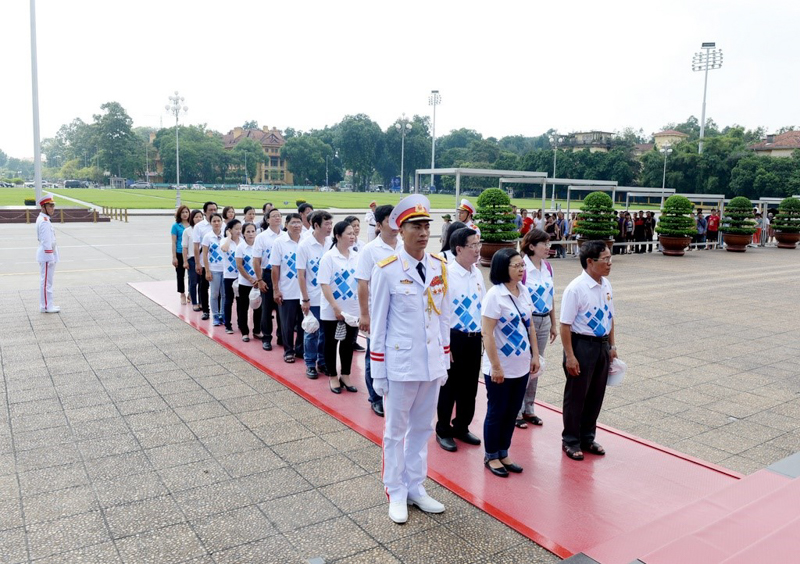 cá cược thể thao hul city