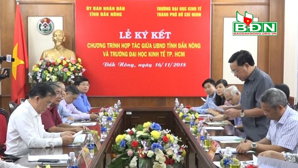 cá cược thể thao hul city