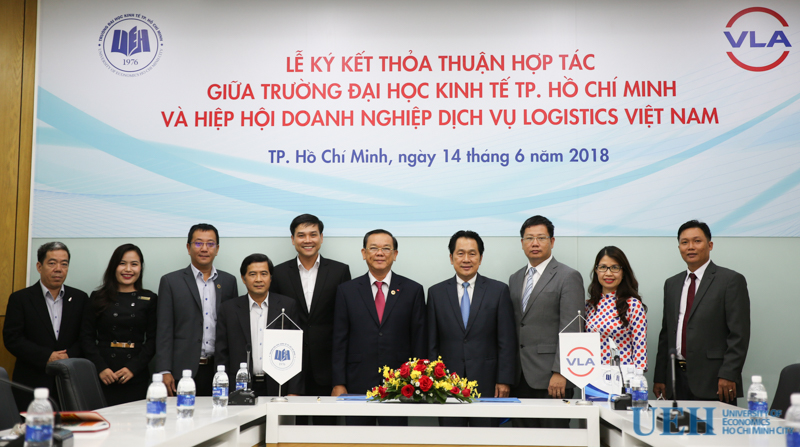 cá cược thể thao hul city