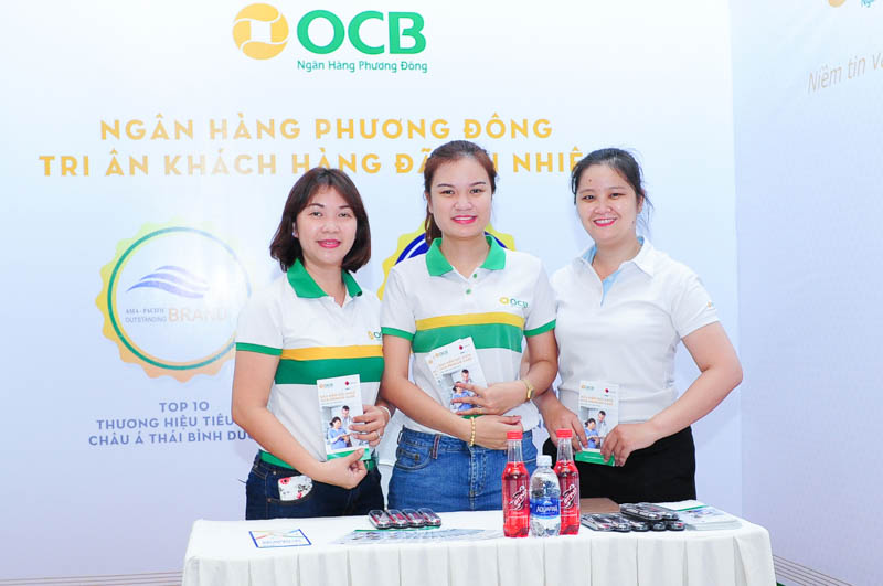 cá cược thể thao hul city