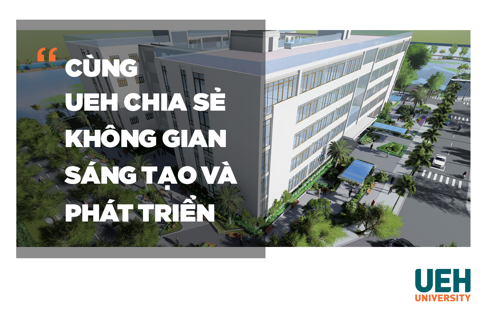 cá cược thể thao hul city