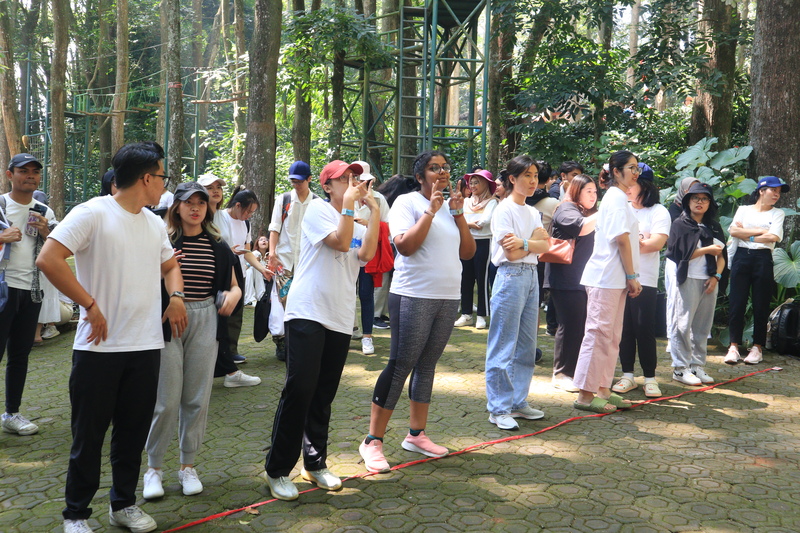 cá cược thể thao hul city