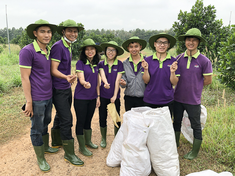 cá cược thể thao hul city