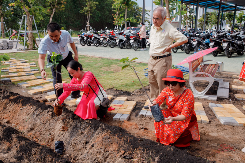 cá cược thể thao hul city