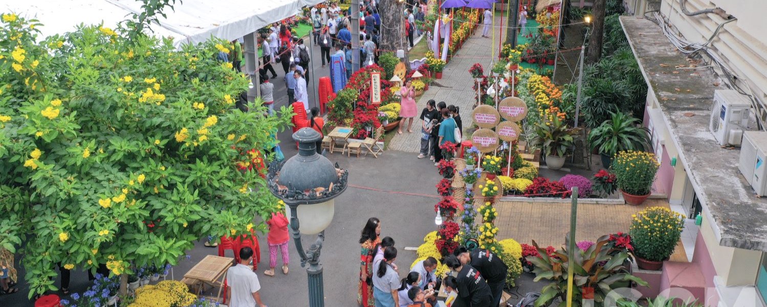 Meaningful Project At The End Of The Cat Year: Cho Ray Hospital Flowers Street

