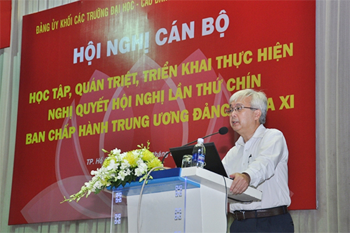 cá cược thể thao hul city