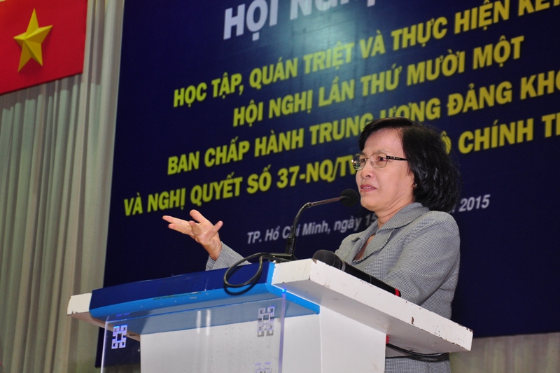 cá cược thể thao hul city