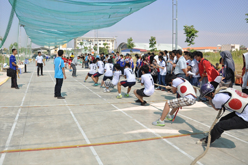 cá cược thể thao hul city