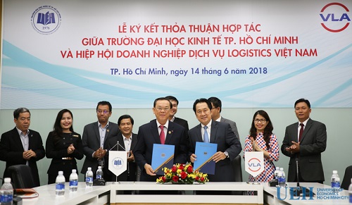 cá cược thể thao hul city