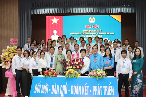 cá cược thể thao hul city