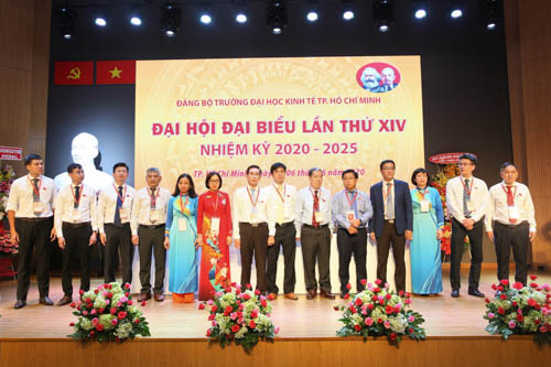 cá cược thể thao hul city