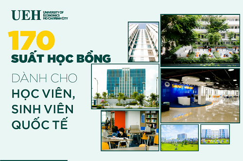 cá cược thể thao hul city