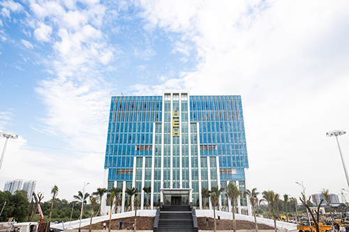 cá cược thể thao hul city