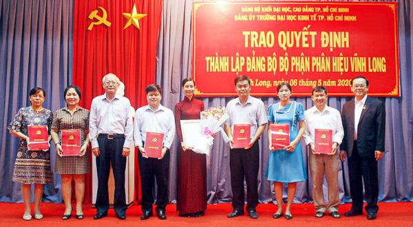 cá cược thể thao hul city