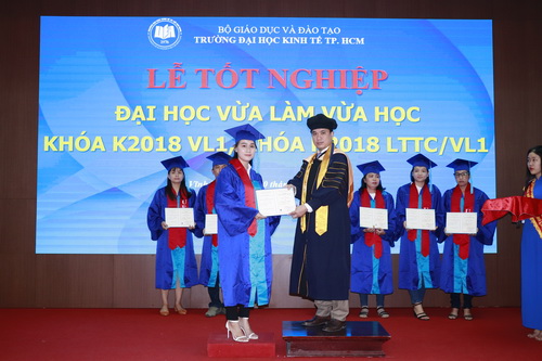 cá cược thể thao hul city