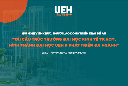 cá cược thể thao hul city