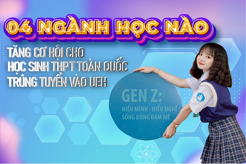 cá cược thể thao hul city