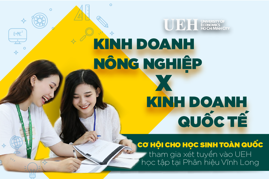 cá cược thể thao hul city