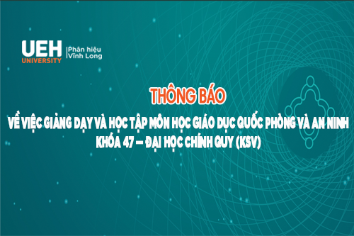 cá cược thể thao hul city