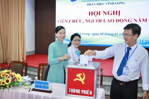 cá cược thể thao hul city