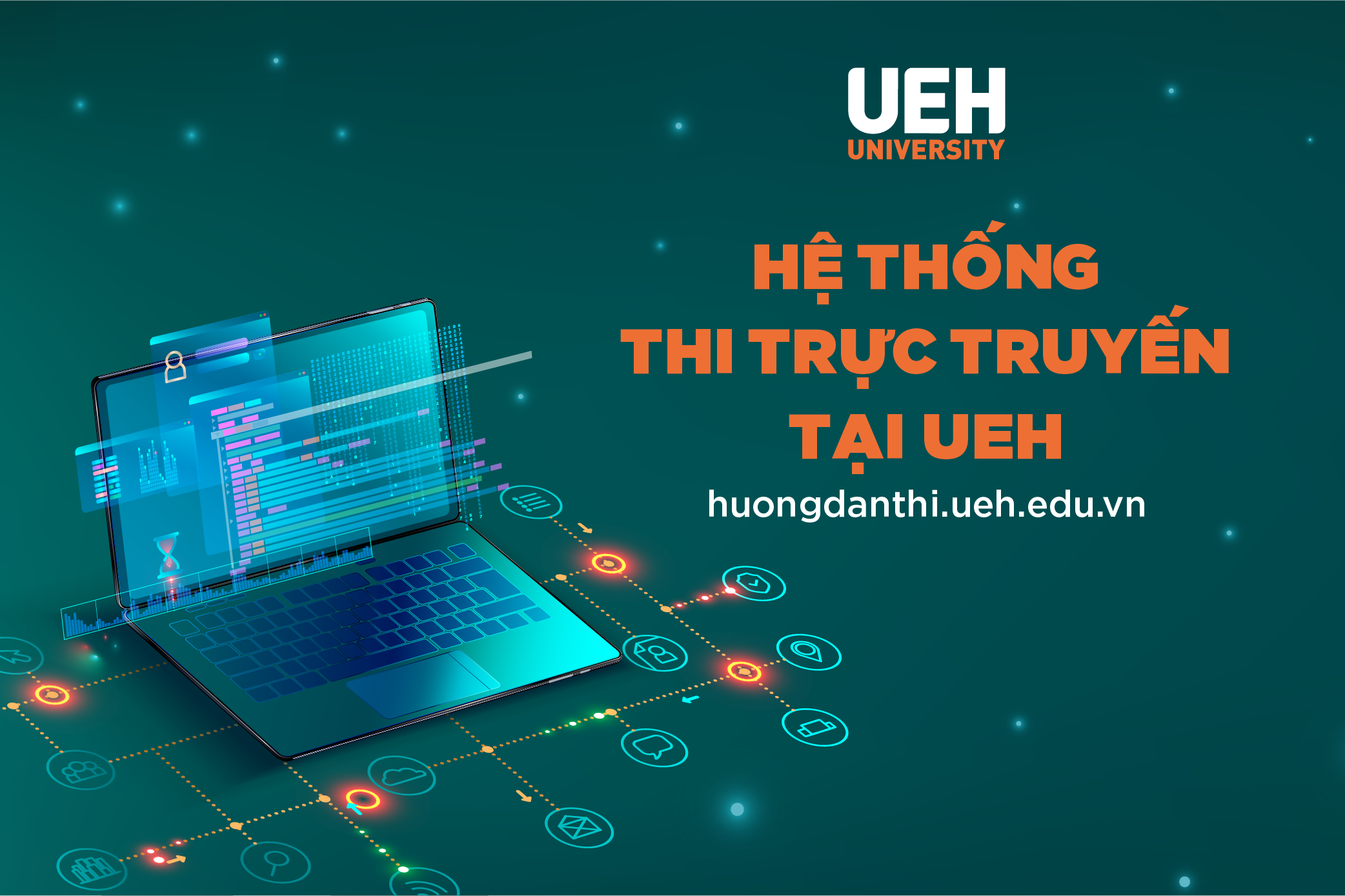 cá cược thể thao hul city