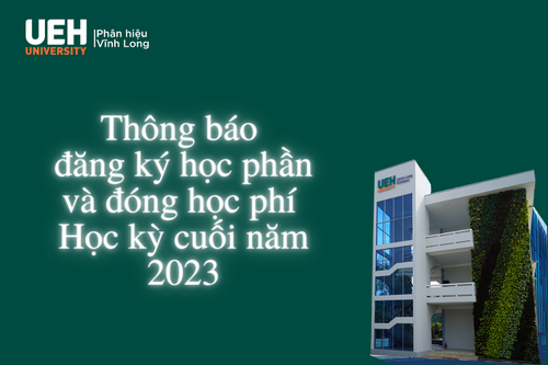 cá cược thể thao hul city