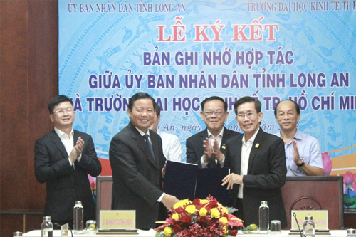 cá cược thể thao hul city