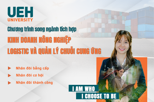 cá cược thể thao hul city