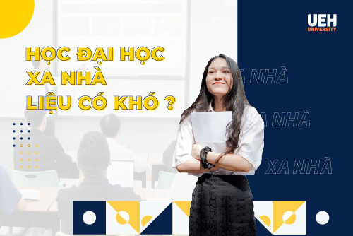 cá cược thể thao hul city