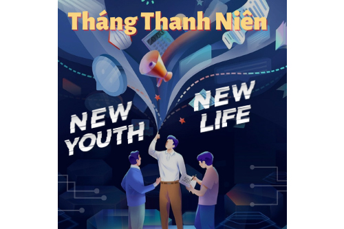 cá cược thể thao hul city