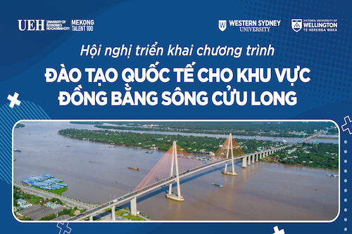 cá cược thể thao hul city