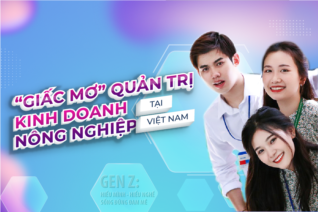 cá cược thể thao hul city