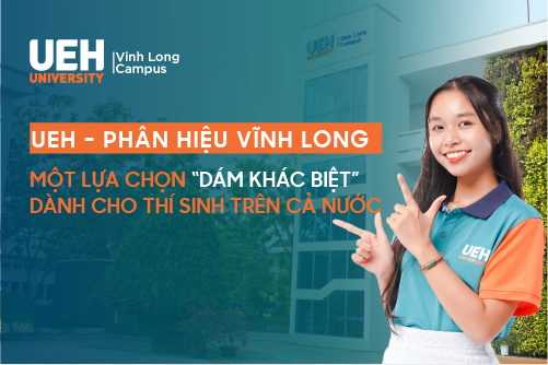 cá cược thể thao hul city