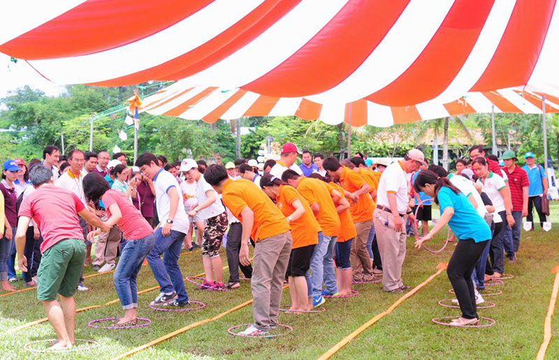 cá cược thể thao hul city